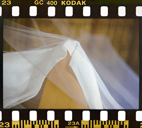 25 Yasemin Topcan - Kodak Ultramax 400 por Arca Film Lab (Octubre 2024) - Rollo 0391