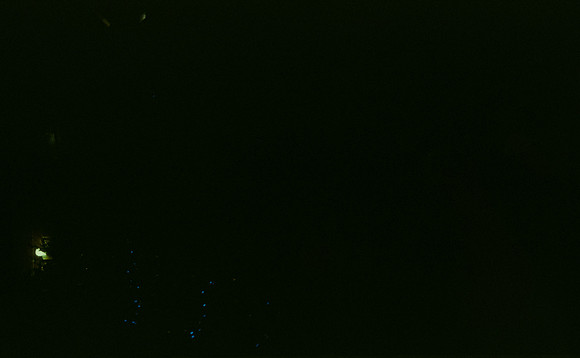 30 Denis Guerrero - Agfacolor Vista 400 por Arca Film Lab (Agosto 2024) - Rollo 0297