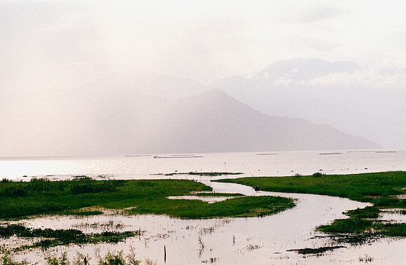 06 Marco Arriola - Fujifilm 200 por Arca Film Lab (Mayo 2025) - Rollo 1086
