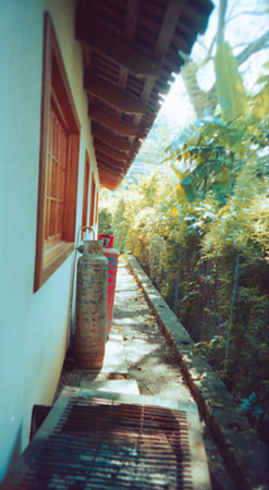 12 Alexander Daum - Kodak Gold 200 por Arca Film Lab (Abril 2025) - Rollo 0895