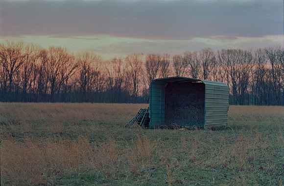 19 Todd Morales - Fujifilm Pro400H por Arca Film Lab (Agosto 2024) - Rollo 0225