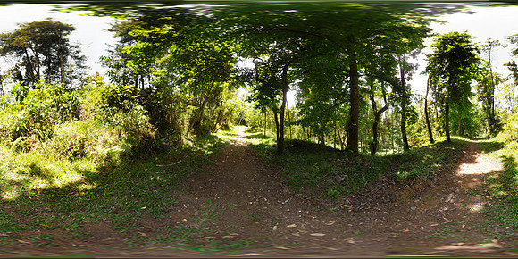 Bosque coban