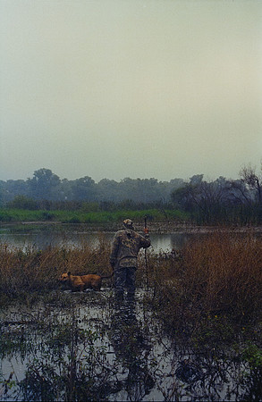 12 Ronald Ottoniel - Cinestill 800T por Arca Film Lab (Enero 2025) - Rollo 0616