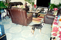 18 Paulo Contreras - Kodak Portra 800 por Arca Film Lab (Enero 2025) - Rollo 0614