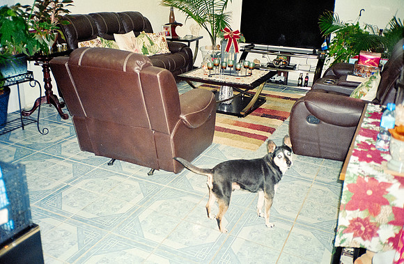 18 Paulo Contreras - Kodak Portra 800 por Arca Film Lab (Enero 2025) - Rollo 0614