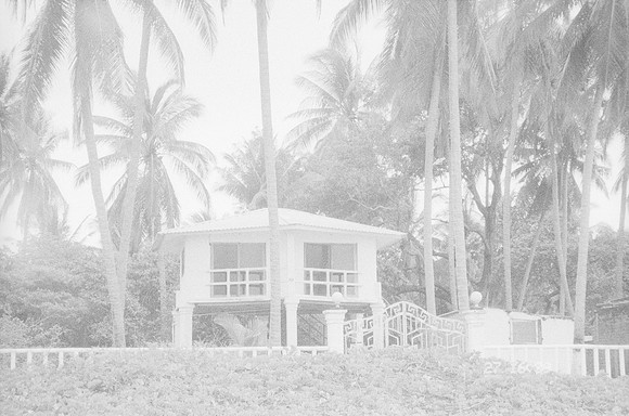 31 Elena Campos - Ilford HP5+ 400 por Arca Film Lab (Junio 2025) - Rollo 1114