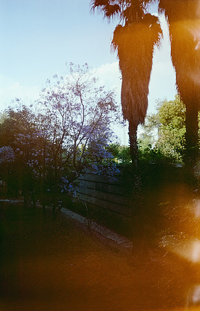 16 Gabriela Retana - Kodak Gold 200 por Arca Film Lab (Mayo 2025) - Rollo 1013
