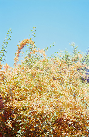 21 Mariana Cabrera - Fujifilm 400 por Arca Film Lab (Enero 2025) - Rollo 0569