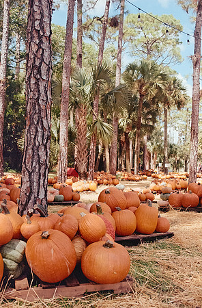 05 Isha Morales - Kodak Gold 200 por Arca Film Lab (Octubre 2024) - Rollo 0433