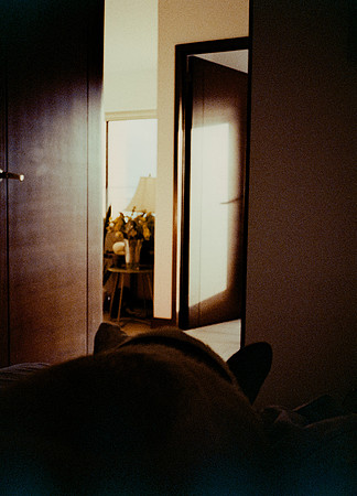 15 Steve Palma - Fujifilm 400 por Arca Film Lab (Enero 2025) - Rollo 0628