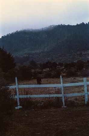 03 Andrés Cux - Fujifilm Provia 100F por Arca Film Lab (Enero 2025) - Rollo 0607