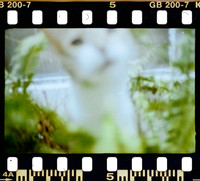 00004 Jhenifer León - Kodak Gold 200 - Arca Film Lab (Noviembre 2024) - Rollo 0451