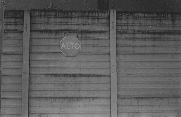 17 Vivian Kotouch - Ilford HP5+ 400 por Arca Film Lab (Noviembre 2024) - Rollo 0416