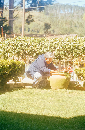 05 Nancy Girón - Kodak Ultramax 400 por Arca Film Lab (Marzo 2025) - Rollo 0844