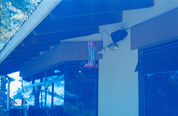 13 Valeria Minera - Kodak Ultramax 400 por Arca Film Lab (Febrero 2025) - Rollo 0889