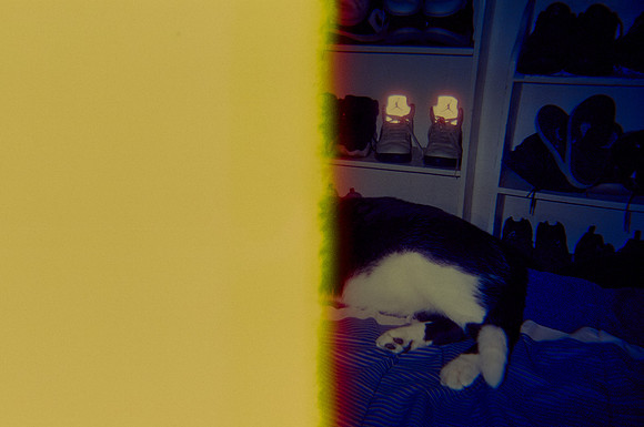 01 José González - Cinestill 800T por Arca Film Lab (Noviembre 2024) - Rollo 0468