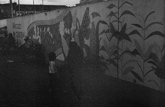 35 Alexander Daum - Ilford HP5+ 400 por Arca Film Lab (Noviembre 2024) - Rollo 0511