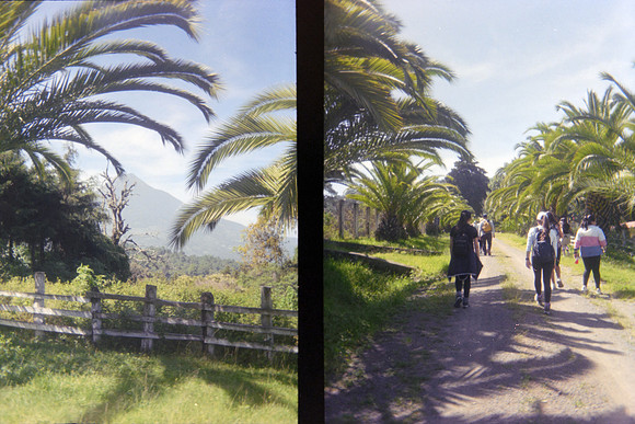 19 María Jimena Sánchez - Kodak Gold 200 por Arca Film Lab (Mayo 2024) - Rollo 0069