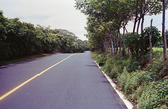 13 Sofía Ramos - Kodak Portra 400 por Arca Film Lab (Noviembre 2024) - Rollo 0455