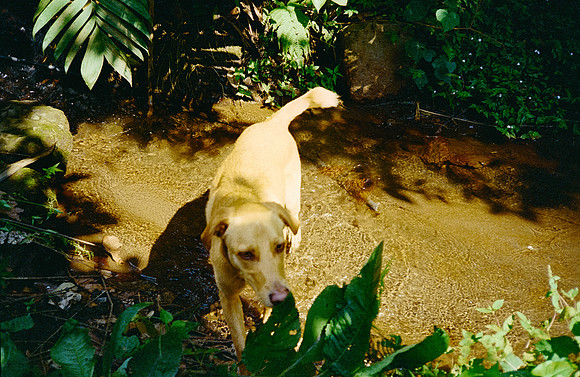 13 Pablo Marroquín - Fujifilm 400 por Arca Film Lab (Marzo 2025) - Rollo 0842