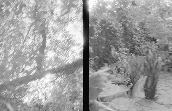 36 Natalia Mendoza - Kentmere Pan 400 por Arca Film Lab (Enero 2025) - Rollo 0696