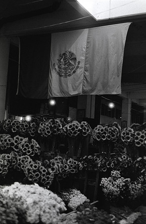 13 Isabel Fuentes - Arista 400 por Arca Film Lab (Agosto 2024) - Rollo 0242
