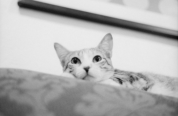 12 Valeria Minera - Kentmere Pan 400 por Arca Film Lab (Abril 2025) - Rollo 0960
