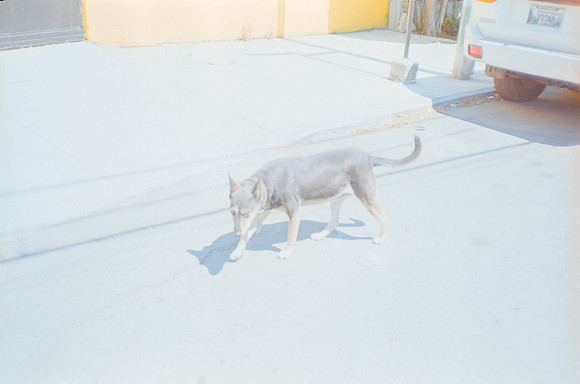 27 José Loarca - Kodak ColorPlus 200 por Arca Film Lab (Abril 2025) - Rollo 0981