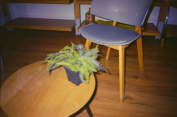 20 José Vásquez - Kodak Gold 200 por Arca Film Lab (Enero 2025) - Rollo 0668