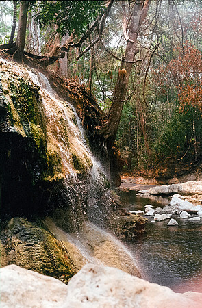 08 Jose Gabriel Gatica - Kodak Gold 200 - Arca Film Lab (Junio 2024) - Rollo 0117