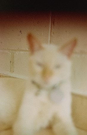 21 Abraham Castillo - Fujifilm 400 por Arca Film Lab (Junio 2025) - Rollo 1118