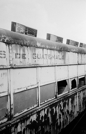 04 Gilberto Rosales Vaquín - Ilford HP5+ 400 por Arca Film Lab (Febrero 2025) - Rollo 0782