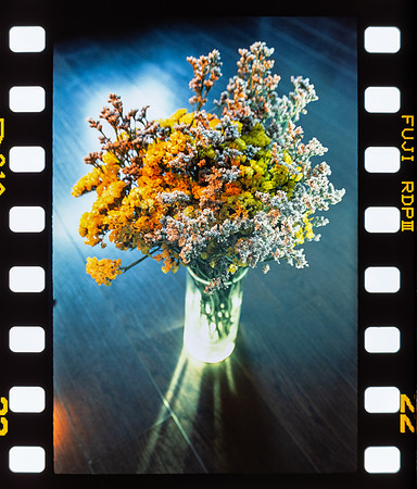 16 Fabriccio Díaz - Fujifilm Provia 100F - Arca Film Lab (Mayo 2024) - Rollo 0046