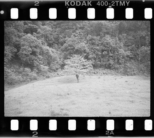 02 Roger Feoli - Kodak TMAX 400 por Arca Film Lab (Mayo 2025) - Rollo 1031