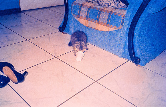 18 Caleb Rodríguez - Kodak 400 Max por Arca Film Lab (Enero 2025) - Rollo 0581