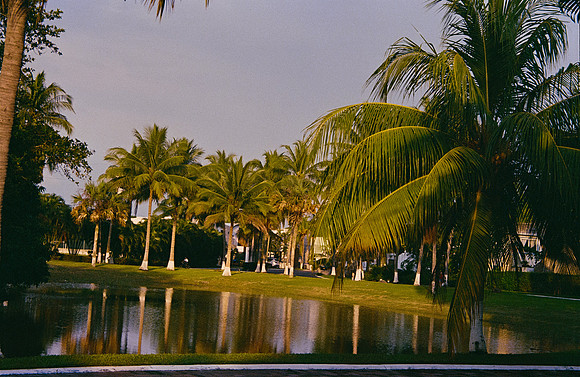 08 José Pérez - Kodak Gold 200 por Arca Film Lab (Enero 2025) - Rollo 0641