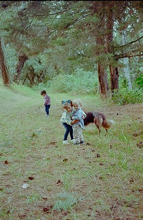 31 Gonzalo Llarena - Kodak Gold 200 por Arca Film Lab (Febrero 2025) - Rollo 0738