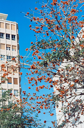 12 Cristina Benítez - Kodak Ektar 100 por Arca Film Lab (Noviembre 2024) - Rollo 0442