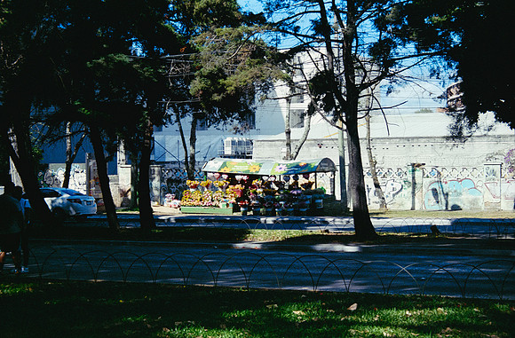 30 Diana Roca - Fujifilm 400 por Arca Film Lab (Mayo 2025) - Rollo 1051
