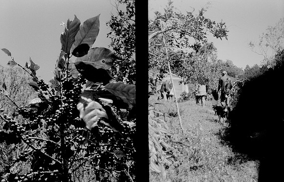 20 Melissa Paises - Ilford HP5+ 400 por Arca Film Lab (Febrero 2025) - Rollo 0686
