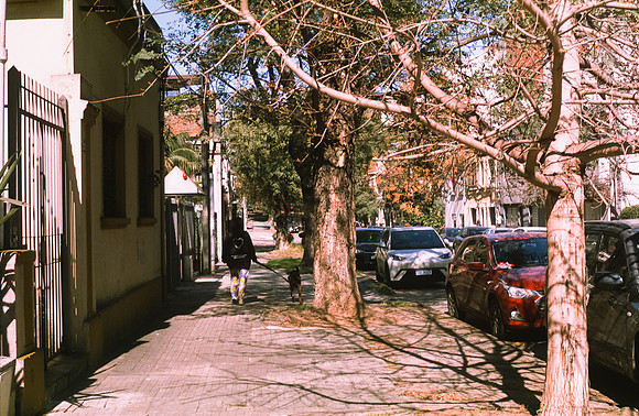 11 Marcelo Domínguez - Fujifilm Provia 100F por Arca Film Lab (Noviembre 2024) - Rollo 0483