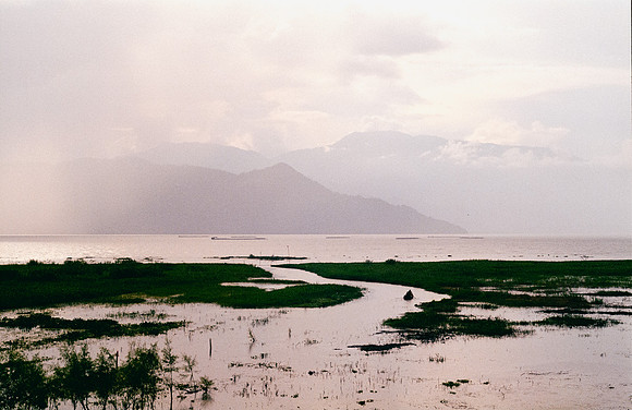 08 Marco Arriola - Fujifilm 200 por Arca Film Lab (Mayo 2025) - Rollo 1086