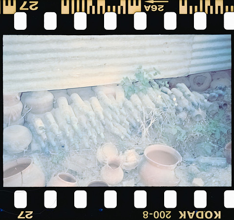 29 Rodrigo Gonzalez - Kodacolor 200 por Arca Film Lab (Junio 2025) - Rollo 1117
