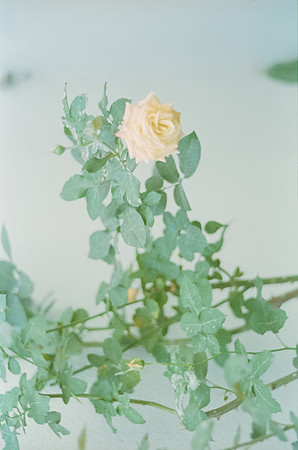 20 Rodolfo Madrigal - Kodak Portra 400 por Arca Film Lab (Junio 2025) - Rollo 1148