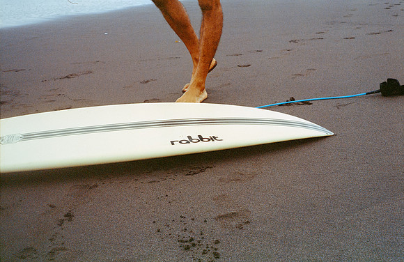 10 Sofía Ramos - Kodak Portra 400 por Arca Film Lab (Noviembre 2024) - Rollo 0455