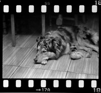 17 Omar Véliz - Neopan SS 100 por Arca Film Lab (Agosto 2024) - Rollo 0301