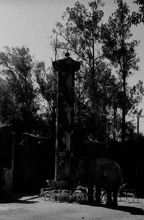 19 Kristel Calderón - Kentmere Pan 400 por Arca Film Lab (Enero 2025) - Rollo 0640