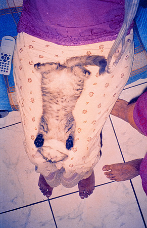 17 Caleb Rodríguez - Kodak 400 Max por Arca Film Lab (Enero 2025) - Rollo 0581