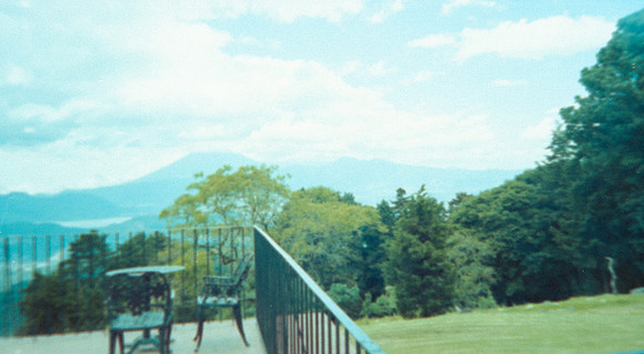 11 Alexander Daum - Fujifilm 400 por Arca Film Lab (Abril 2025) - Rollo 0900