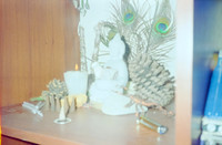 15 Erick Galindo - Fujifilm 400 por Arca Film Lab (Mayo 2025) - Rollo 1091